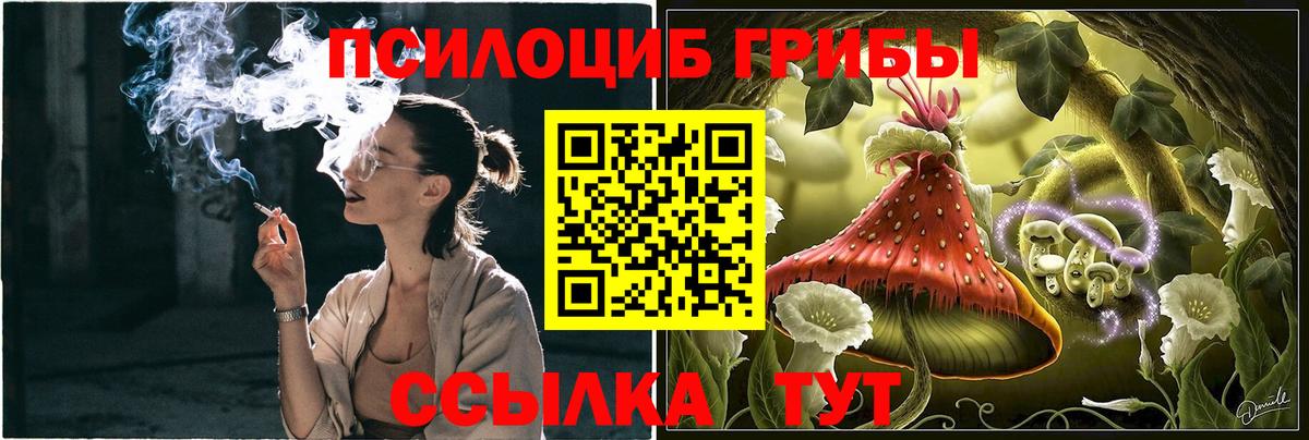 Гуково  Галлюциногенные грибы Psilocybine cubensis  Вход с VPN 
