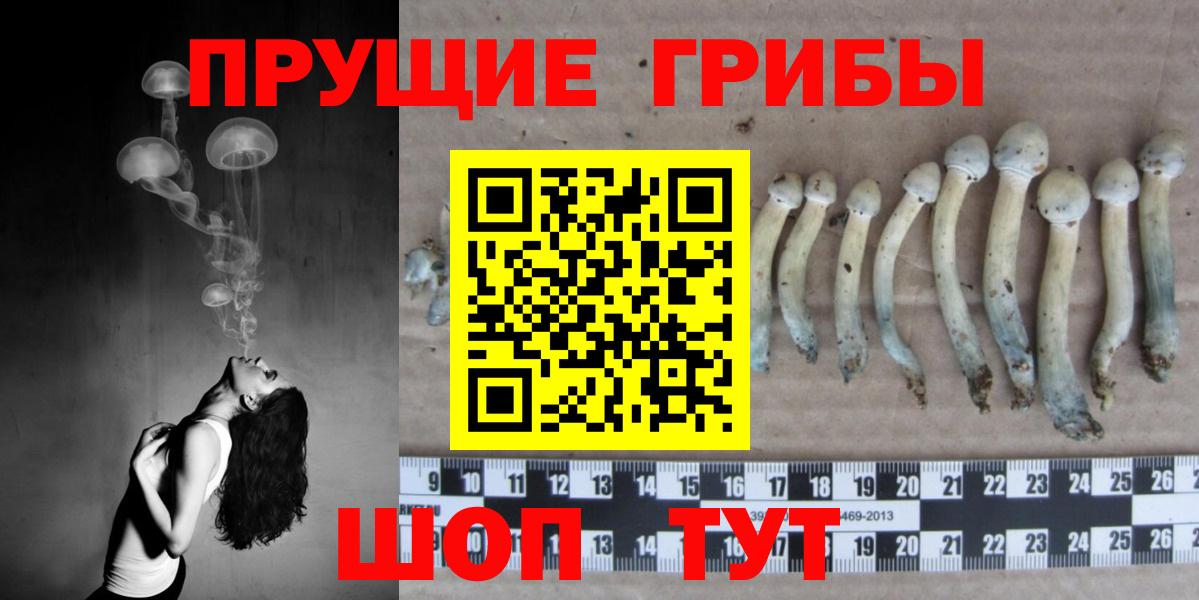 Псилоцибиновые грибы ЛСД Гуково